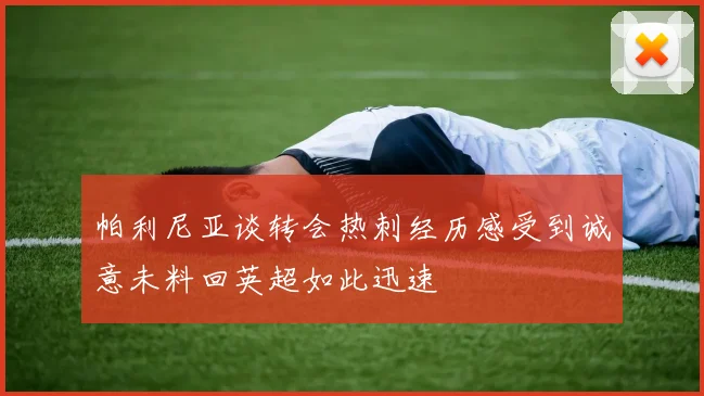 帕利尼亚谈转会热刺经历感受到诚意未料回英超如此迅速