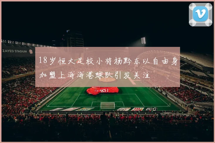 18岁恒大足校小将杨黔东以自由身加盟上海海港球队引发关注