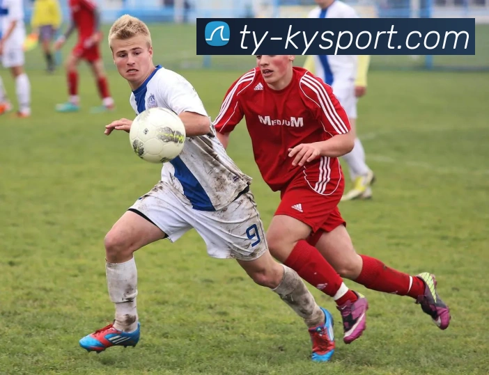 开云足球平台生态图